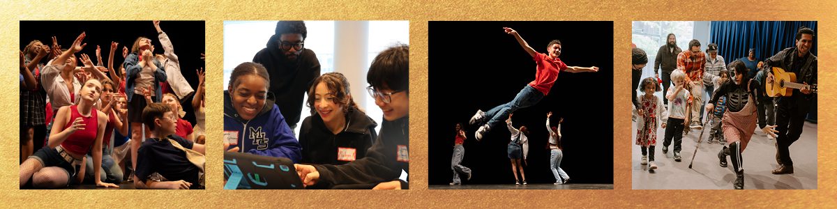 Support the Goodman Centennial Gala!