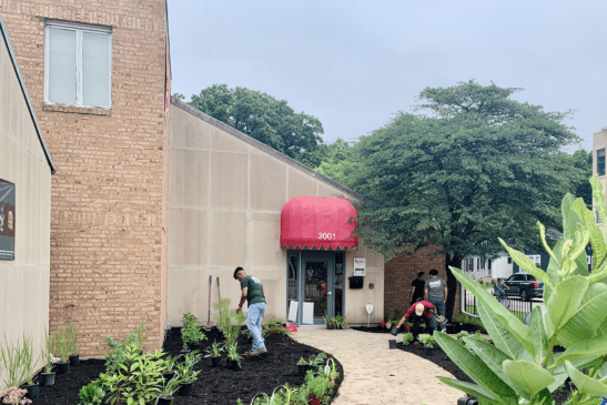 A garden with a walkway that leads to the entrance of a building. There are people working in the garden.