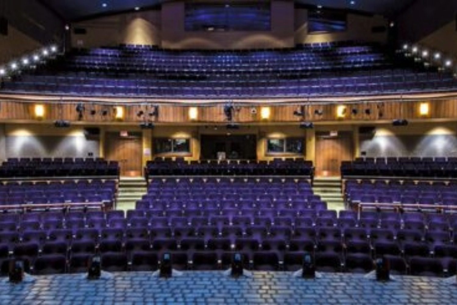 View of the Albert Theatre from the stage.