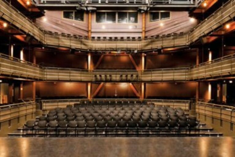 View of the Owen Theatre from the stage.