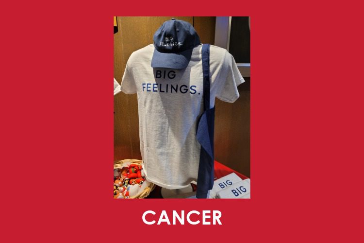 Gray t-shirt and blue cap both printed with "BIG FEELINGS." displayed on a mannequin, with various items on a red table below. The word "CANCER" is on the red border.