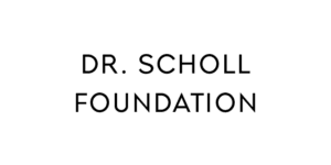 Black text reading "Dr. Scholl Foundation" is centered on a plain white background.